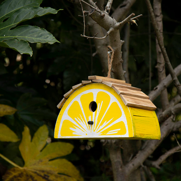11.5"L  Distressed Solid Wood Lemon Birdhouse