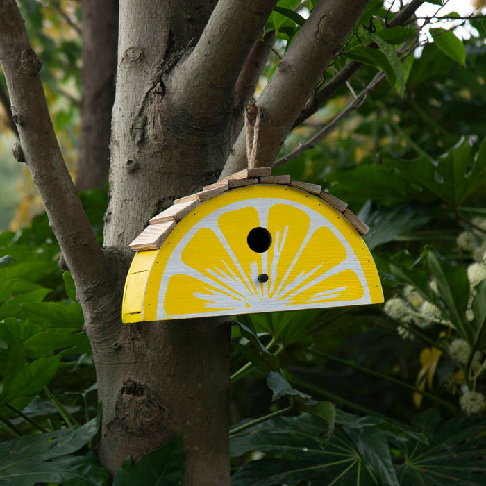 11.5"L  Distressed Solid Wood Lemon Birdhouse