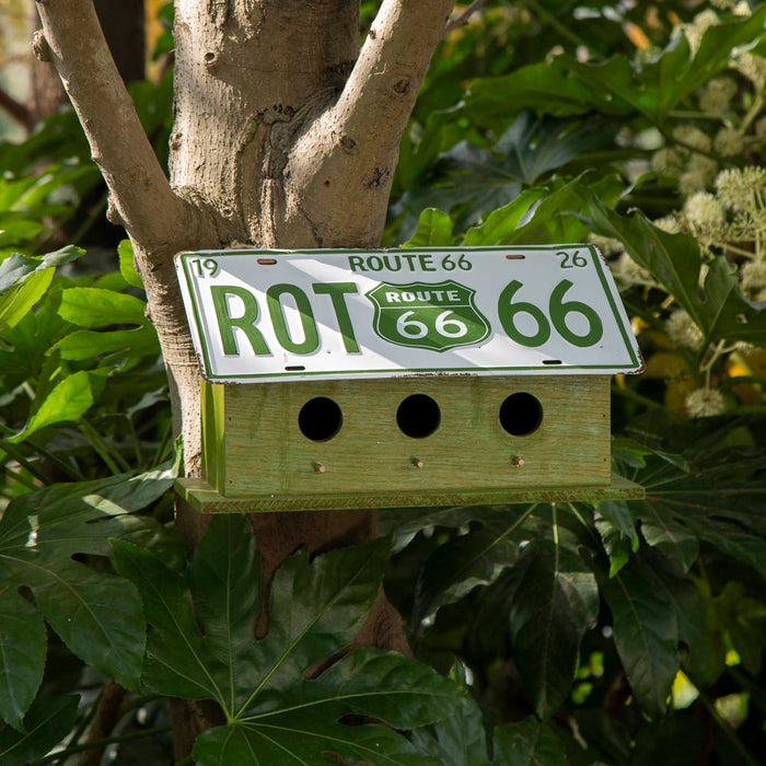 14"L Wood/Metal Green Birdhouse with Licence Plate Roof