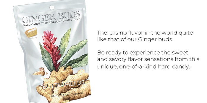 2-Pack GINGER BUDS 2.5 OZ Hard Candy Made USA