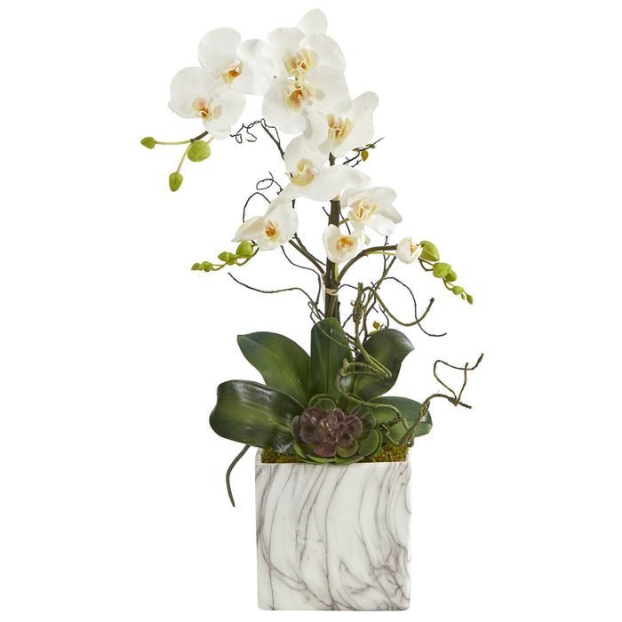 24” Phalaenopsis Orchid and Echeveria Succulent Artificial Arrangement in Marble Finished Vase