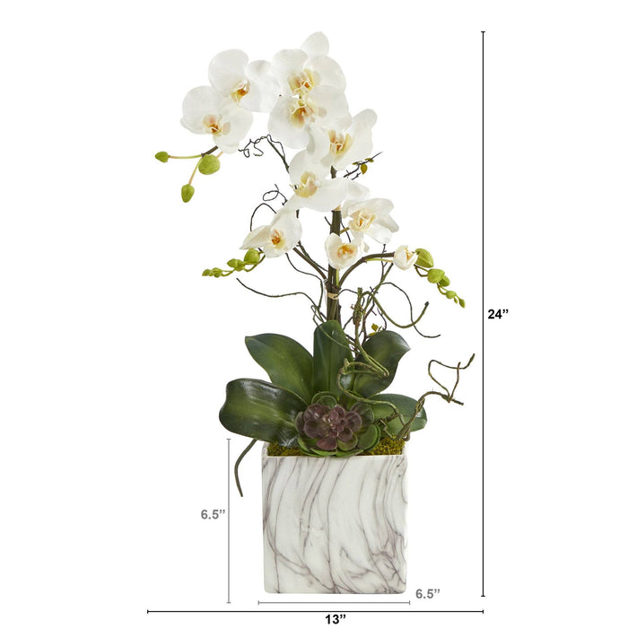 24” Phalaenopsis Orchid and Echeveria Succulent Artificial Arrangement in Marble Finished Vase