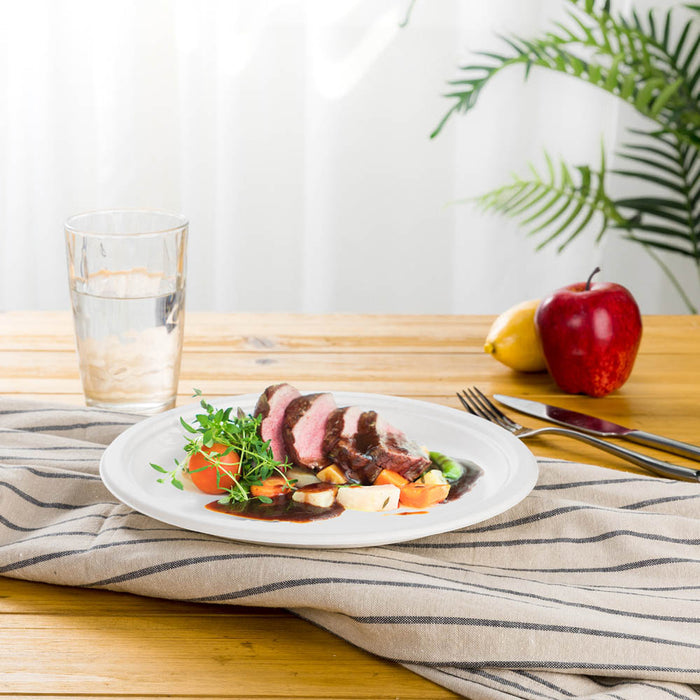 9 inch White Compostable & Disposable Sugarcane Plates, 300 Pack