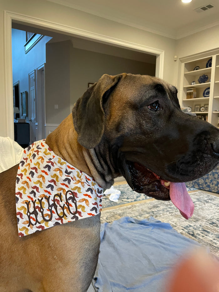 Mustachio Dog Bandana
