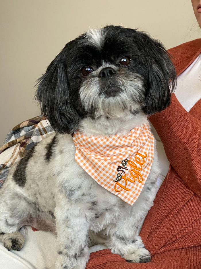 Sea Glass Dog Bandana