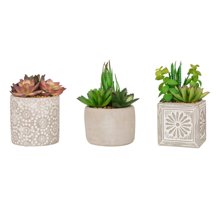 Artificial Succulent Plants in Cement Pots, Set of 3