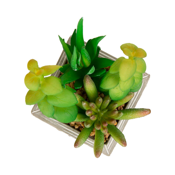 Artificial Succulent Plants in Cement Pots, Set of 3