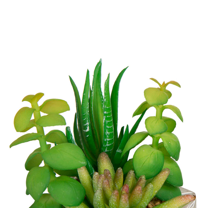 Artificial Succulent Plants in Cement Pots, Set of 3