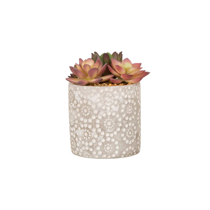 Artificial Succulent Plants in Cement Pots, Set of 3