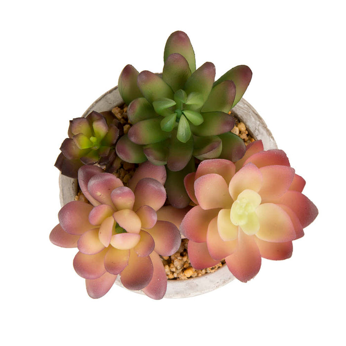 Artificial Succulent Plants in Cement Pots, Set of 3