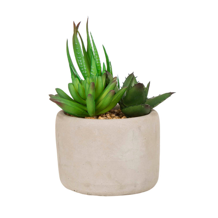 Artificial Succulent Plants in Cement Pots, Set of 3