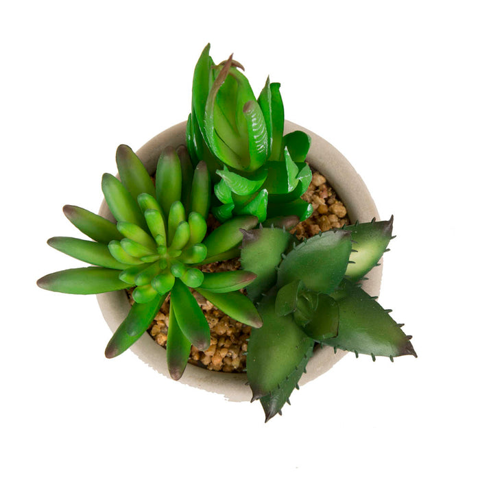 Artificial Succulent Plants in Cement Pots, Set of 3
