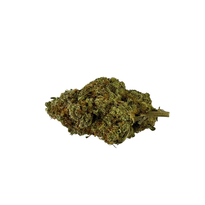 Single top-down view of a dried Banjo cannabis bud with green and amber hairs against a white background