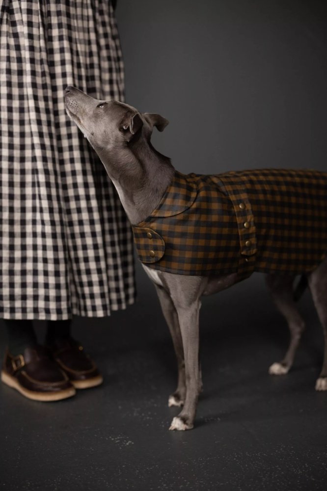 Dog wearing a plaid coat standing next to a person in a checkered skirt on a dark background