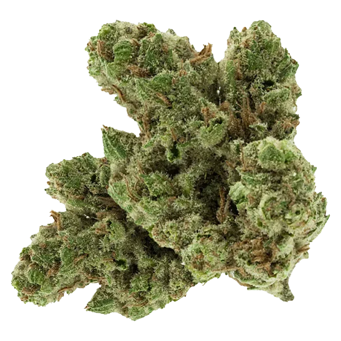 Close-up top view of a frosty green bud of Black Mountain Side against a white background, showing dense trichomes and amber pistils.