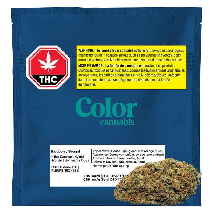 Front-facing shot of a blue packet labeled BlueBberry Se Gual with a yellow THC warning, teal "Color cannabis" logo, and a cannabis bud at the lower right.