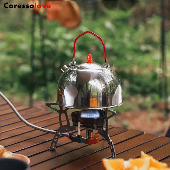 Caressolove 3800W Windproof Camping Gas Stove Portable Foldable Backpacking Stove with Piezo Ignition Outdoor Camping Hiking Picnic Stove Burner