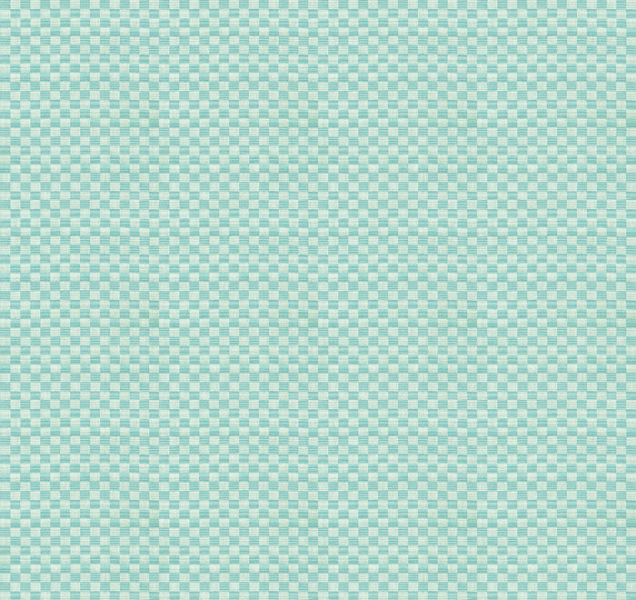 Check Mates Bundles by Anna Maria Textiles with Northcott Fabrics