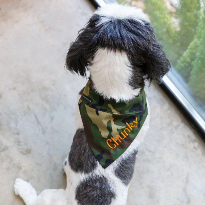 Cornstalk Dots Dog Bandana