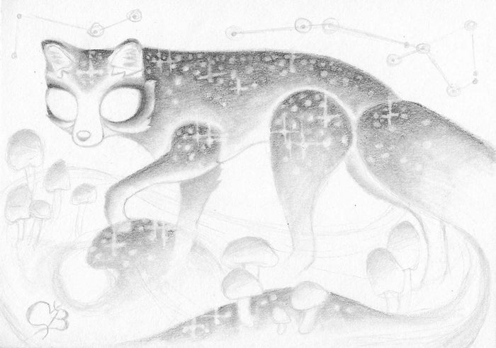 Cosmic Fox