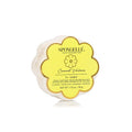 Daisy Spongette (Various Scents)