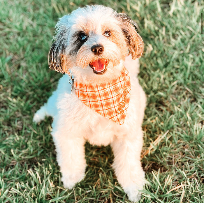 Fall Foliage Dog Bandana (Limited Edition)