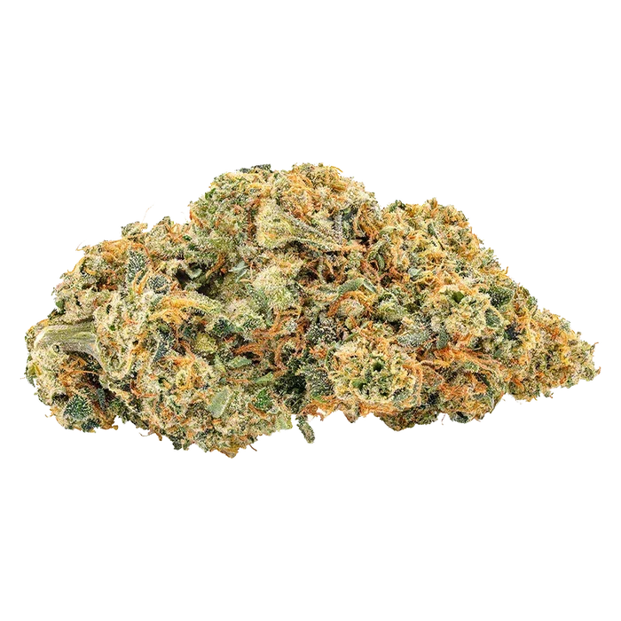 Close-up front view of a frosty bud of Frosted Rootbeer, showing dense green nugs studded with orange hairs and a sparkling trichome coating.