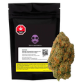 Front view of the Dom Jackson Gas Pack, a black resealable pouch with purple gas mask logo displayed beside a close-up cannabis bud.