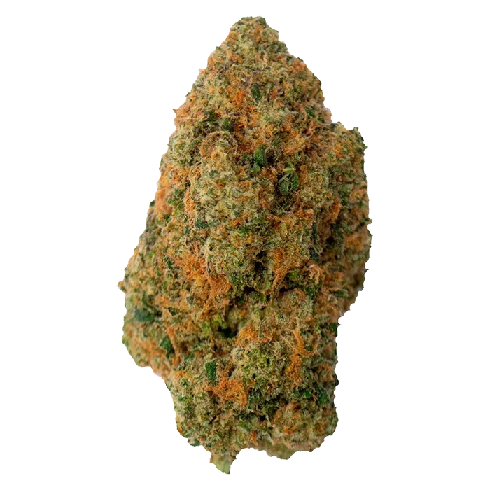 Close-up of a single dense bud of Gas Pack showing green and orange trichome-covered nugs against a white background