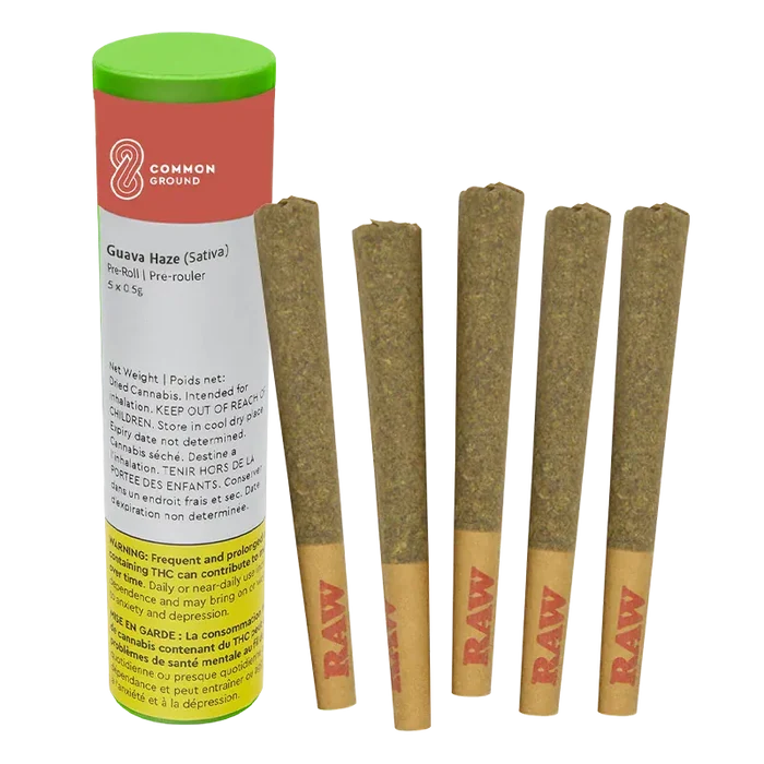Five pre-rolls standing upright next to a green-topped tube of Common Ground Guava Haze PR 5 x 0.5 g on a white background.