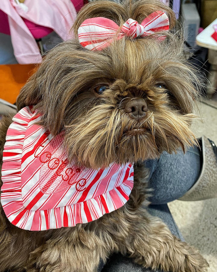 Love-ly Stripe Dog Bandana