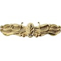 Navy Badge: Surface Warfare Dental - regulation size