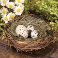 Nest with Speckled Eggs - Primitive Star Quilt Shop