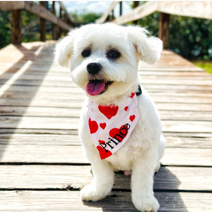 Passionate Pink Dog Bandana