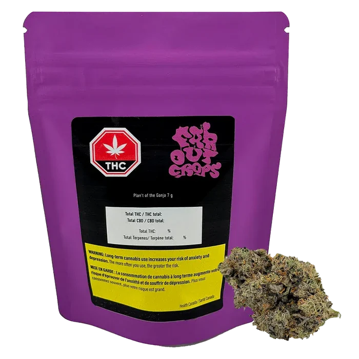 Front-facing pouch shot of Plan't of the Ganja 7 g in bright purple with a black label, THC symbol, and a cannabis bud at the lower right.