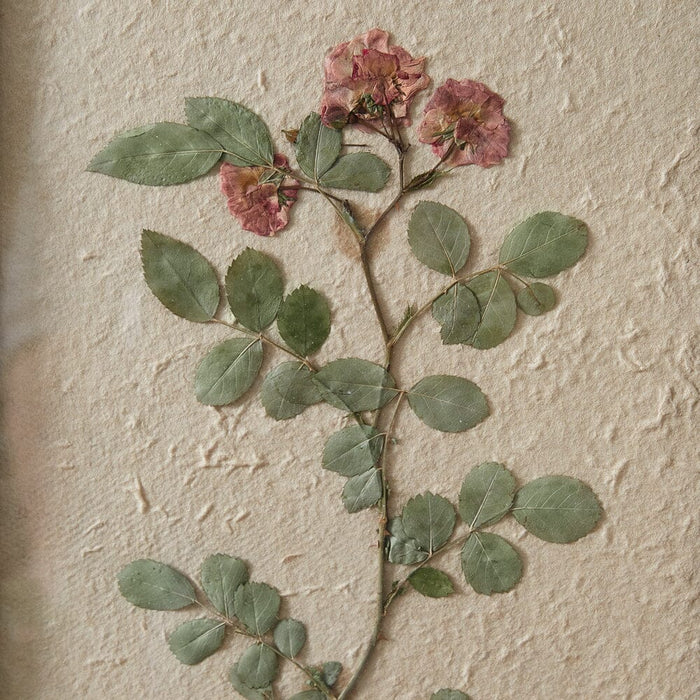 Pressed Botanicals Rose Wall Decor - Primitive Star Quilt Shop