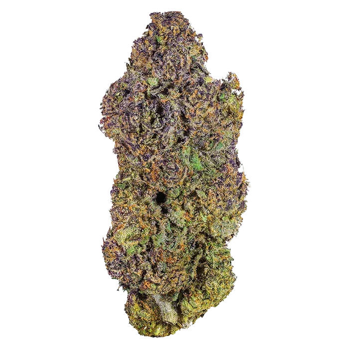 Top-down close-up of a single Royal Dive #6: VantaBlack cannabis bud showing dense purple, green, and orange trichome-covered nugs on a white background