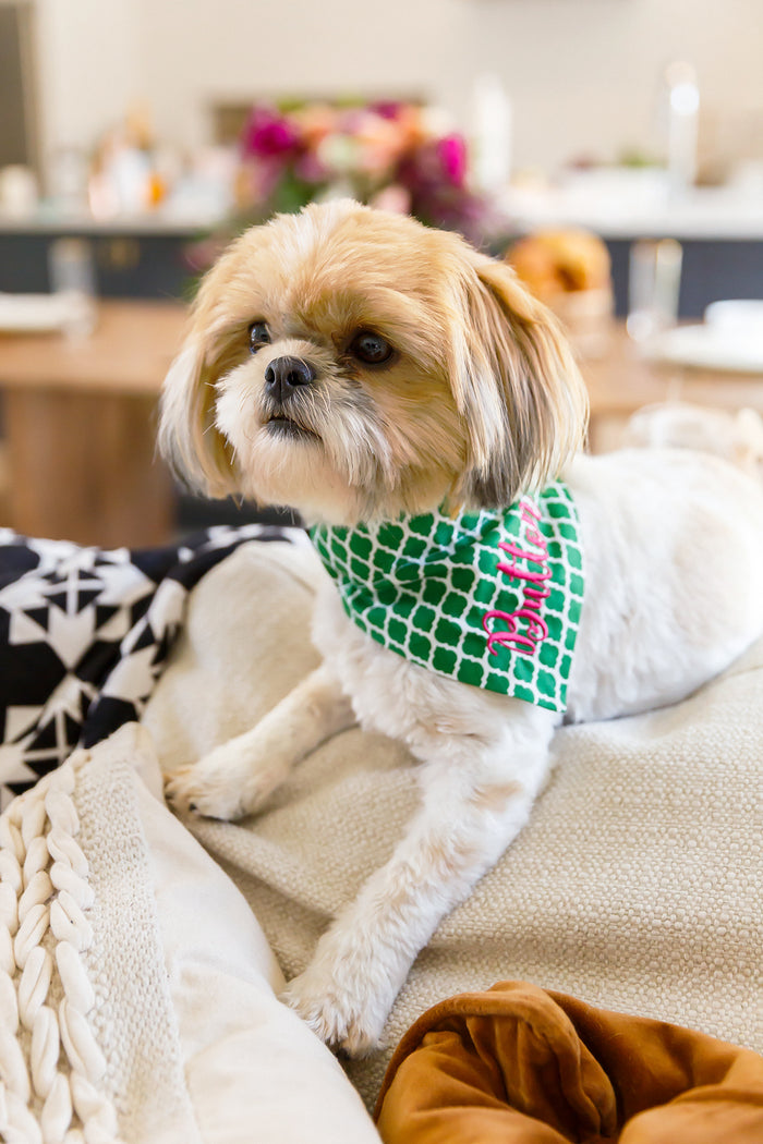 Sea Glass Dog Bandana