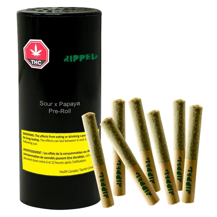 Studio-lit front view of a black cylinder and seven jointed pre-rolls labeled "Sour x Papaya PR 7 x 0.5 g" arranged on a white background.