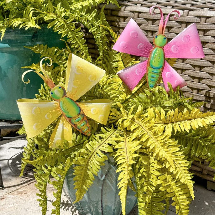 Spring Bowterfly