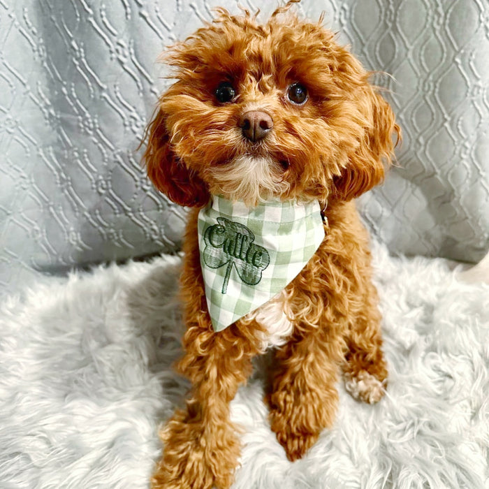 Spring Floral Dog Bandana