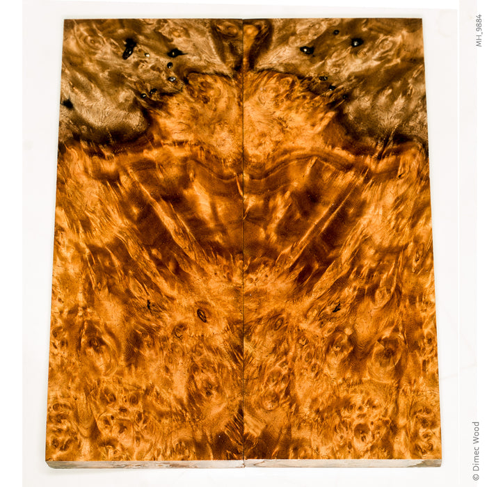 Stabilized golden amboyna burl wood scales
