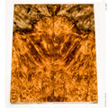 Stabilized golden amboyna burl wood scales