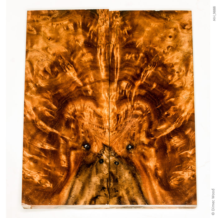 Stabilized golden amboyna burl wood scales