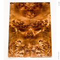 Stabilized wood willow burl scales