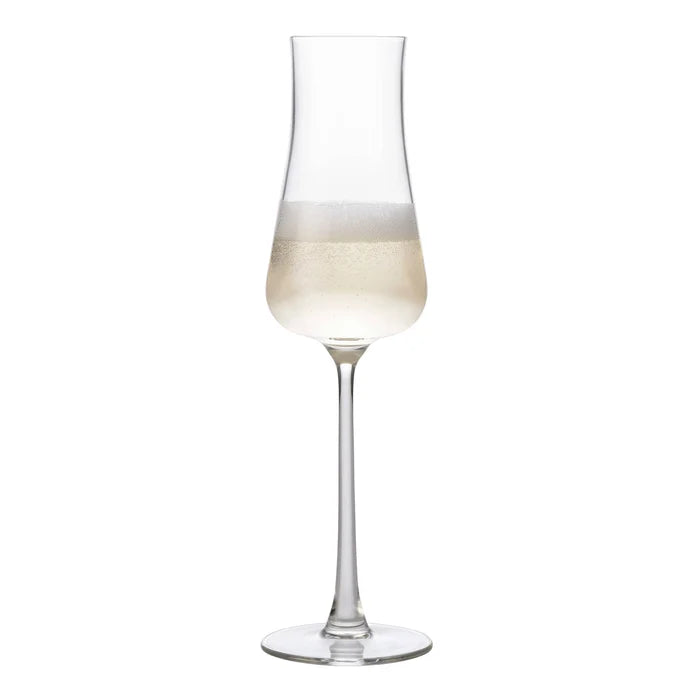 Stratford Champagne Flute Set of 4