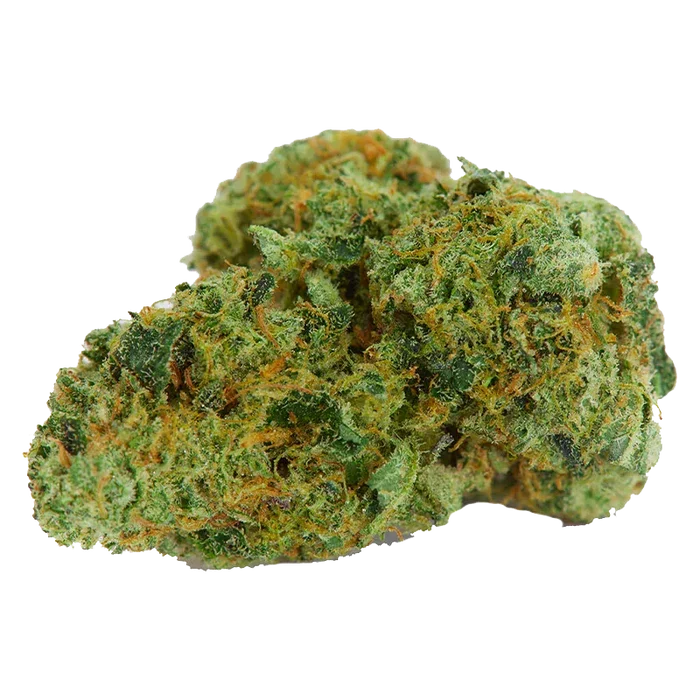 Close-up front view of a single dense green and orange bud from Super Stoner Selection showing frosty trichomes and textured leaf detail.