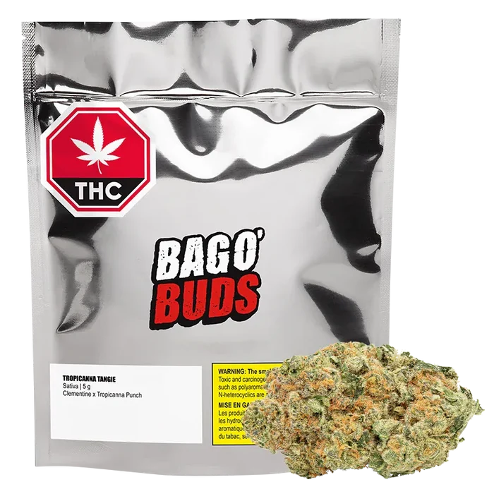 Front view of a silver foil pouch and a single bud, labeled Bag O' Buds Tropicanna Tangie, with a red THC octagon at the top left.