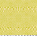 Tula Pink Moon Garden PWTP 022 Lazy Stripe Dawn - 1/2 Yard