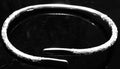 West Indian Sterling Silver Heavy Adult Flat